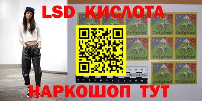 индика Братск